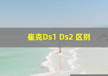 崔克Ds1 Ds2 区别